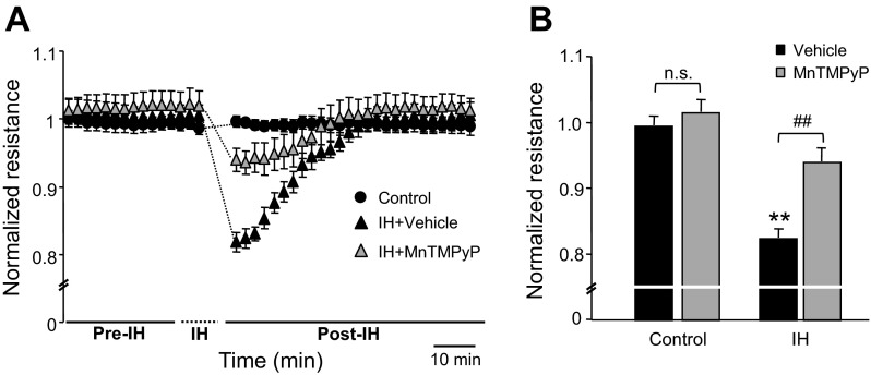 Fig. 3.