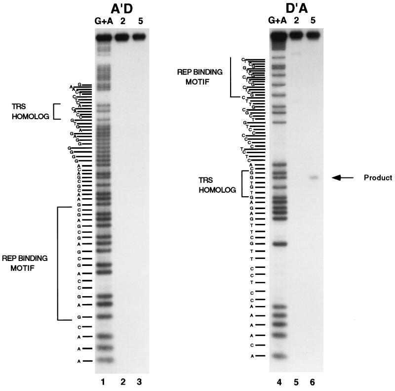 FIG. 5