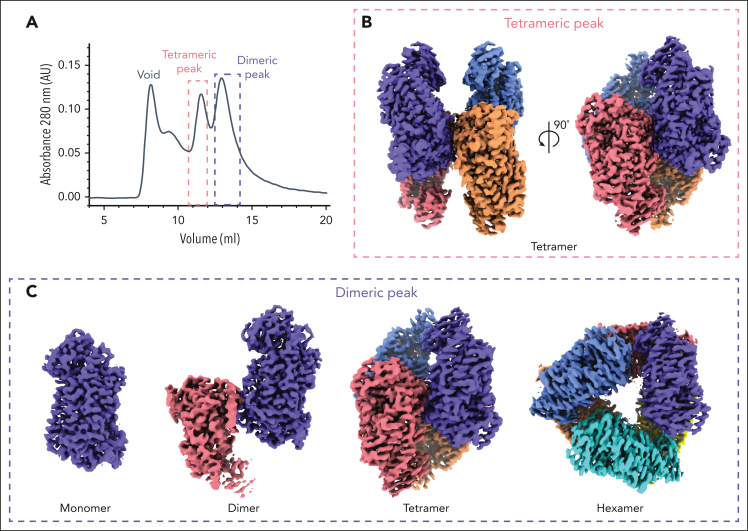 Figure 1.