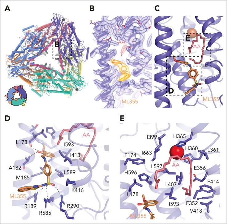 Figure 5.