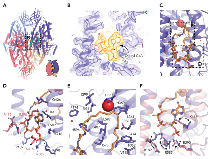 Figure 4.