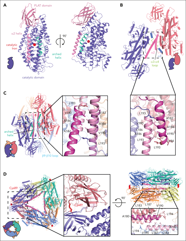 Figure 2.