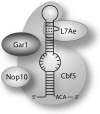 Figure 7.