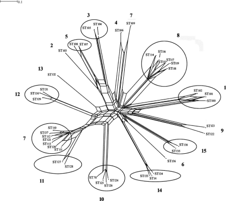 Fig. 4