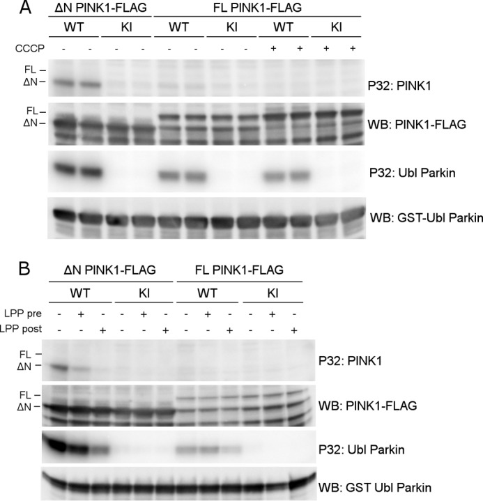 FIGURE 4.