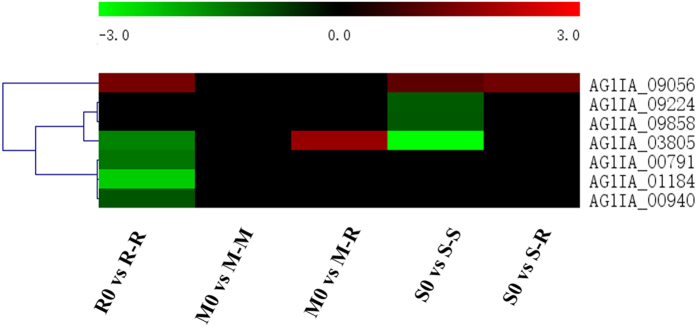 Figure 9