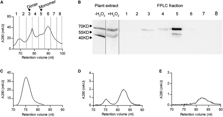 Figure 1.