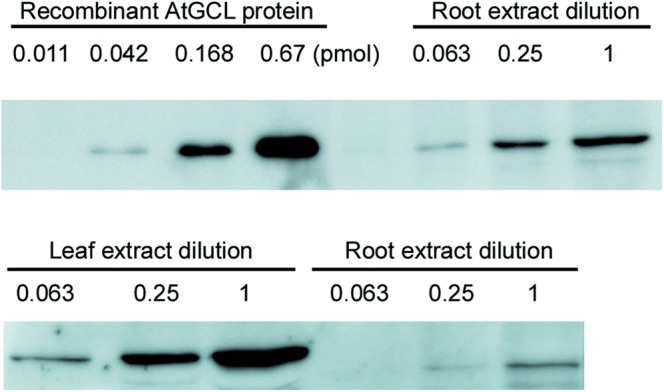 Figure 2.