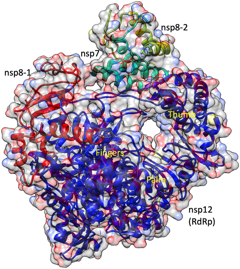 Fig. 1