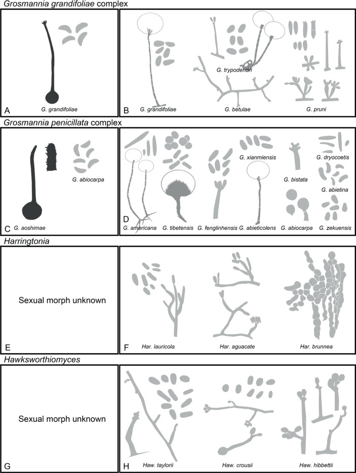 Fig. 8.