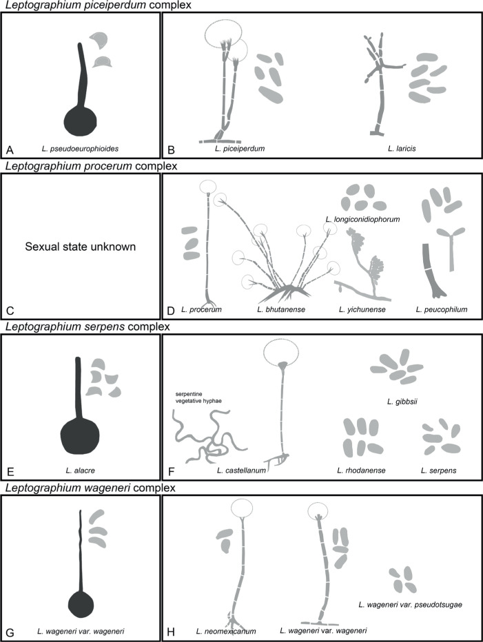 Fig. 11.