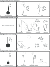 Fig. 11.
