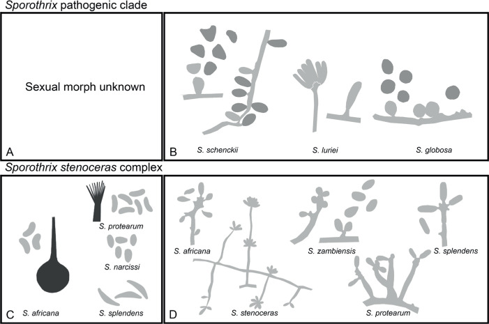 Fig. 15.