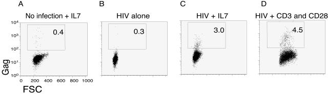 FIG. 6.