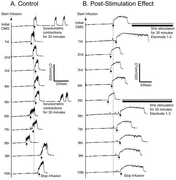 Fig.2