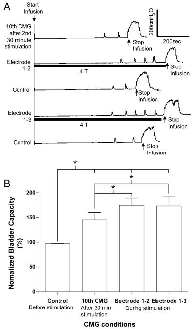 Fig.4