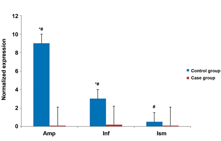 Fig.2