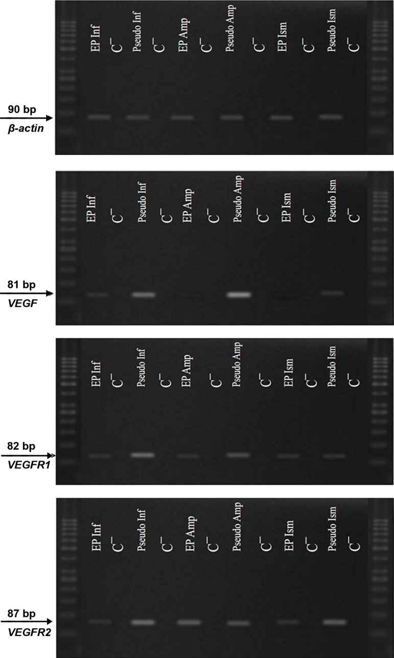 Fig.1