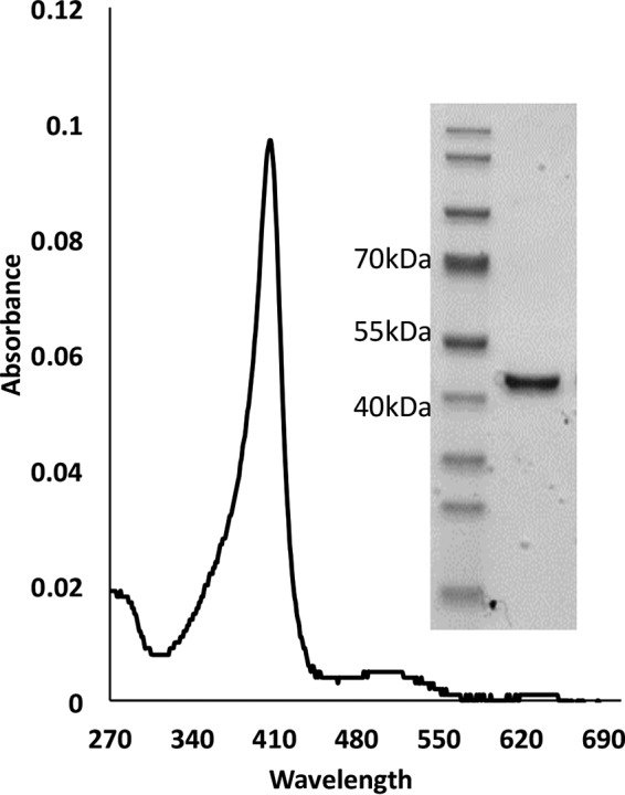 FIG 1