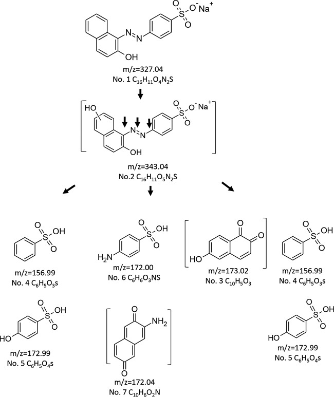 FIG 8