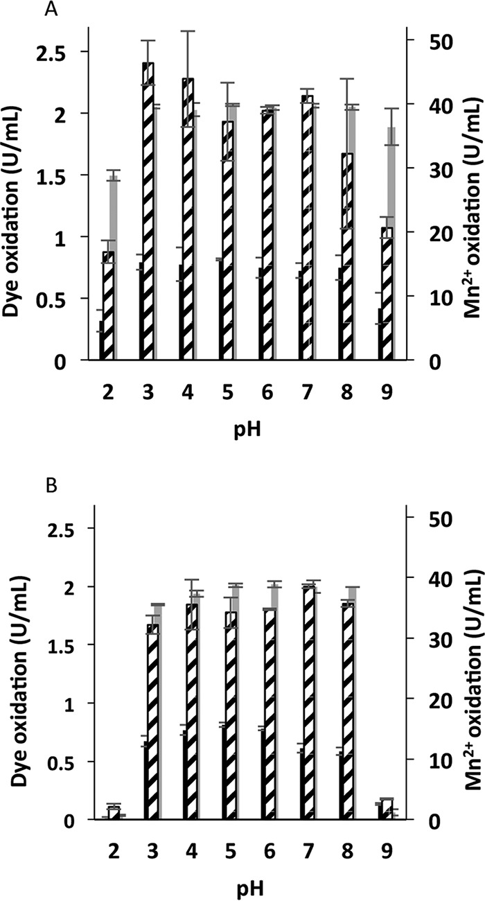 FIG 2