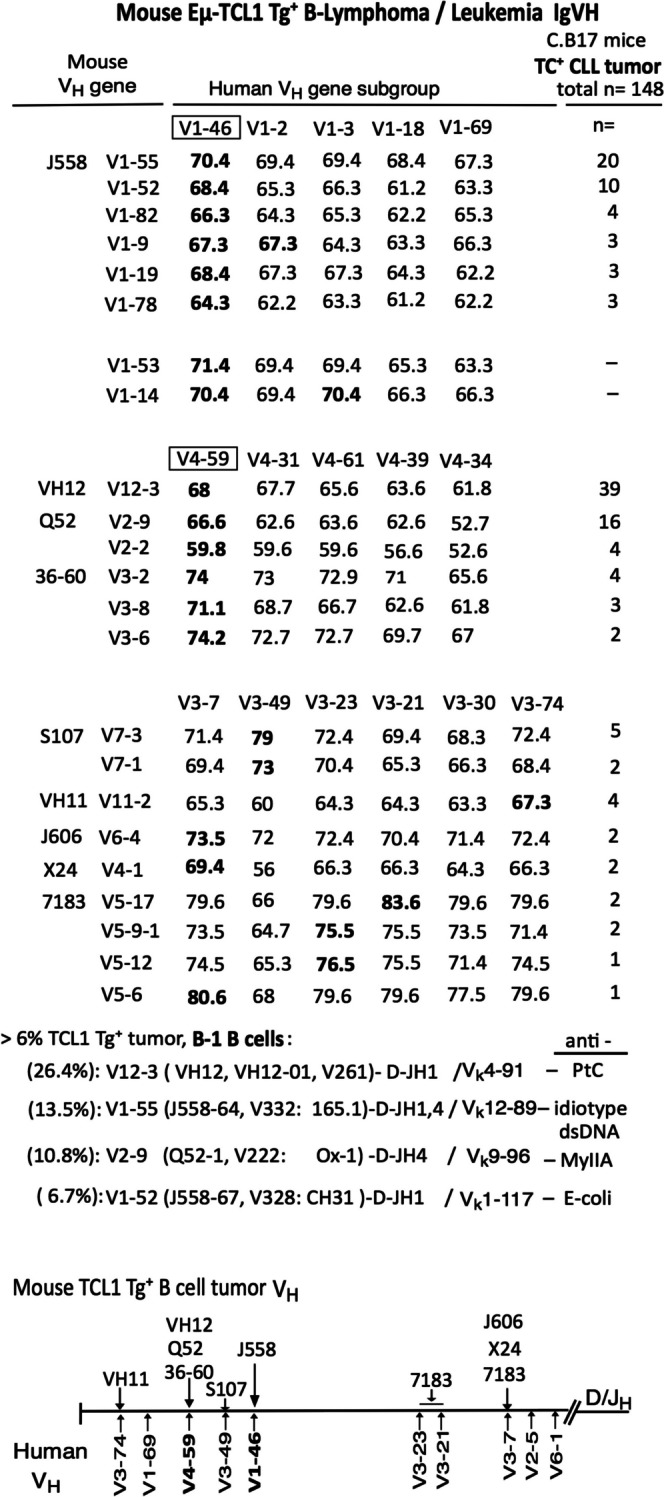 Fig. 6