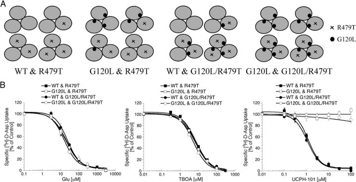 Figure 13.