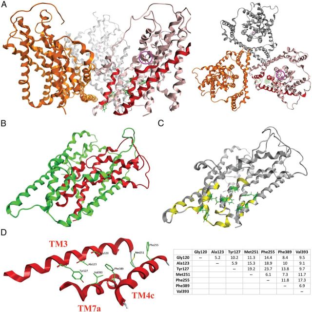 Figure 11.