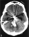 F<sc>ig</sc> 3.