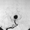 F<sc>ig</sc> 1.