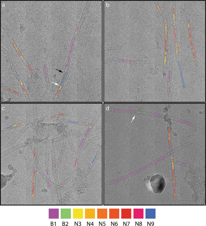 Fig. 5