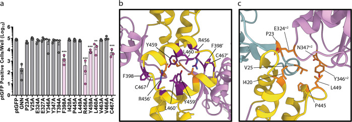 Fig. 7