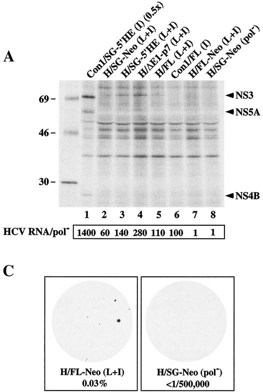 FIG. 5.