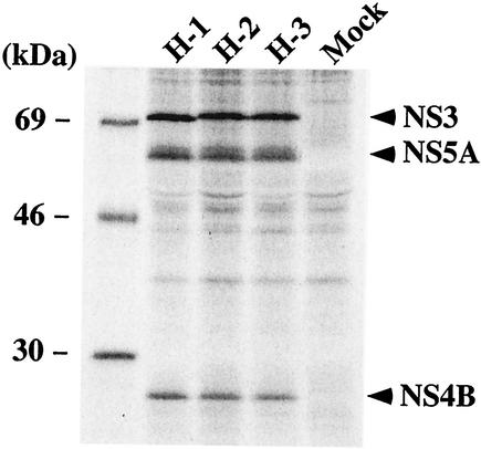 FIG. 2.