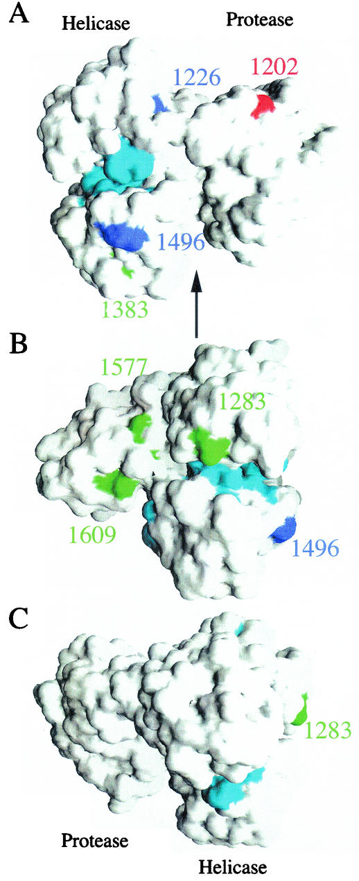 FIG. 6.