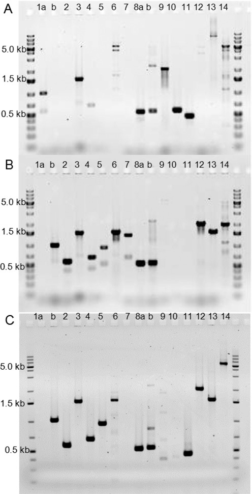 Figure 4.