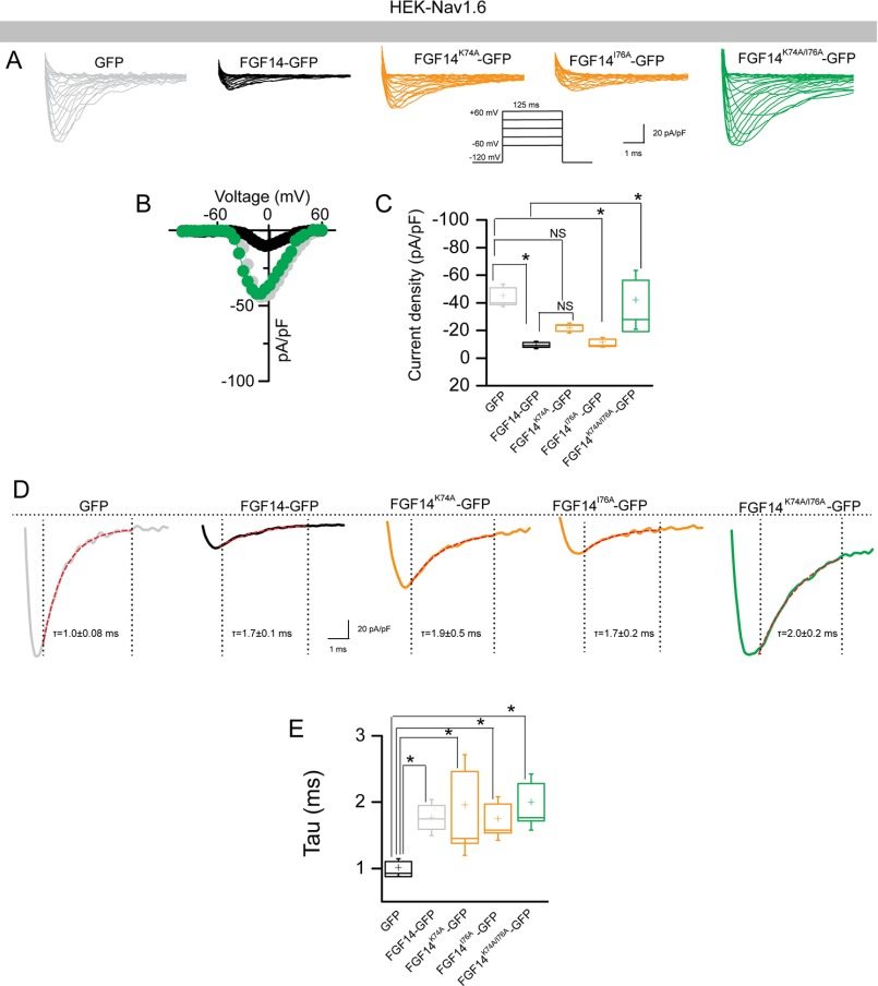 FIGURE 10.