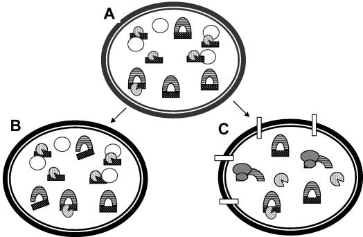 FIG. 6.