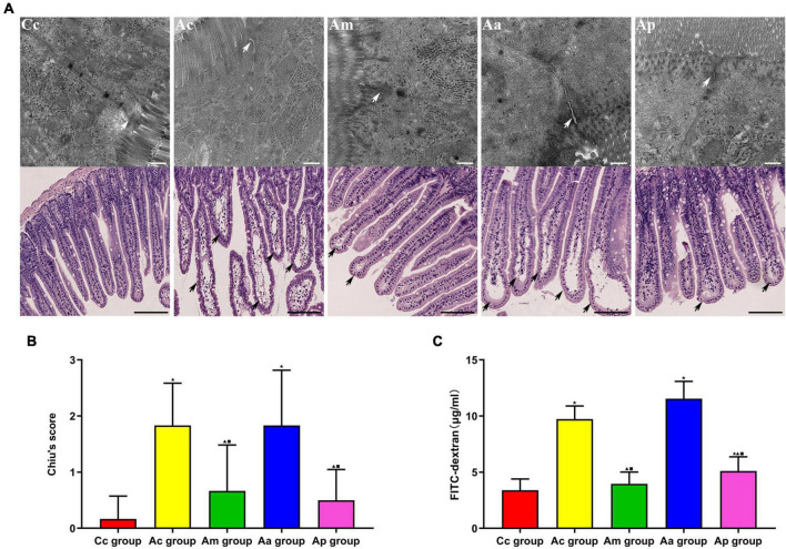 FIGURE 3