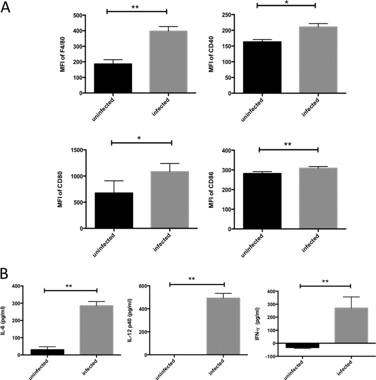 FIG 1