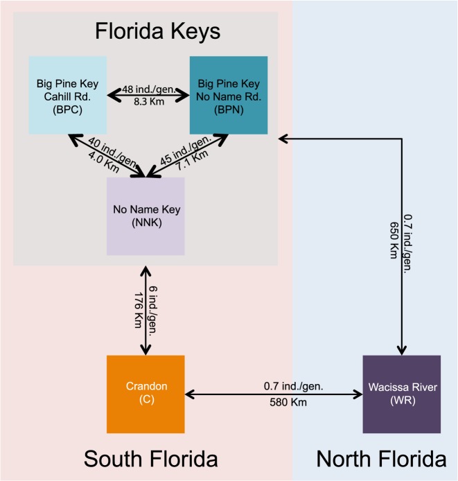 Fig 3