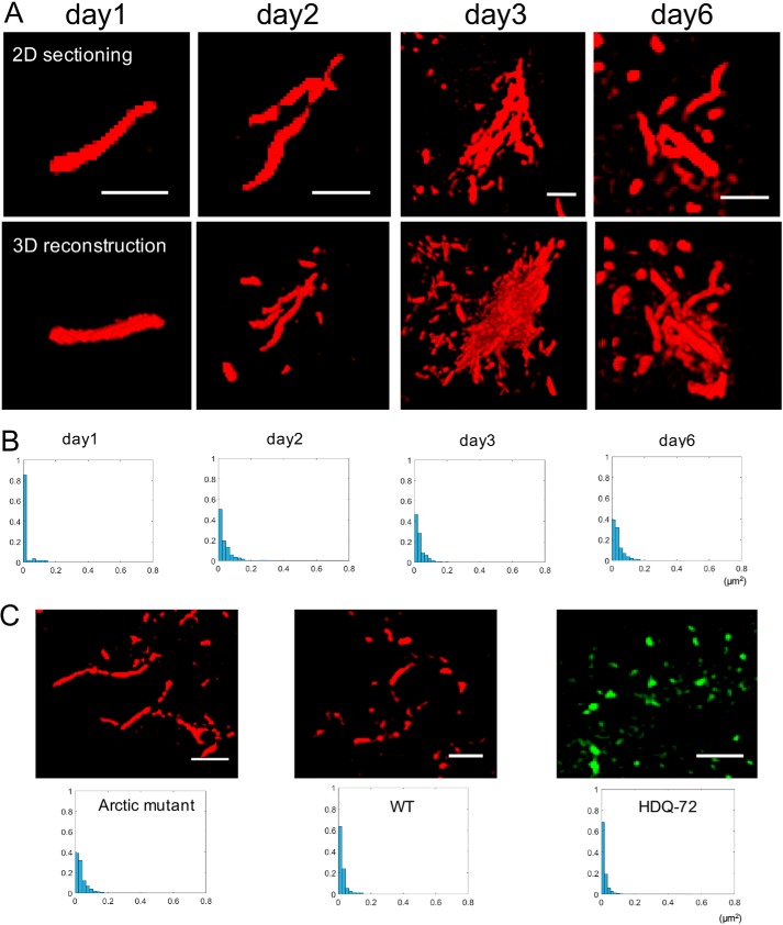 Figure 3.