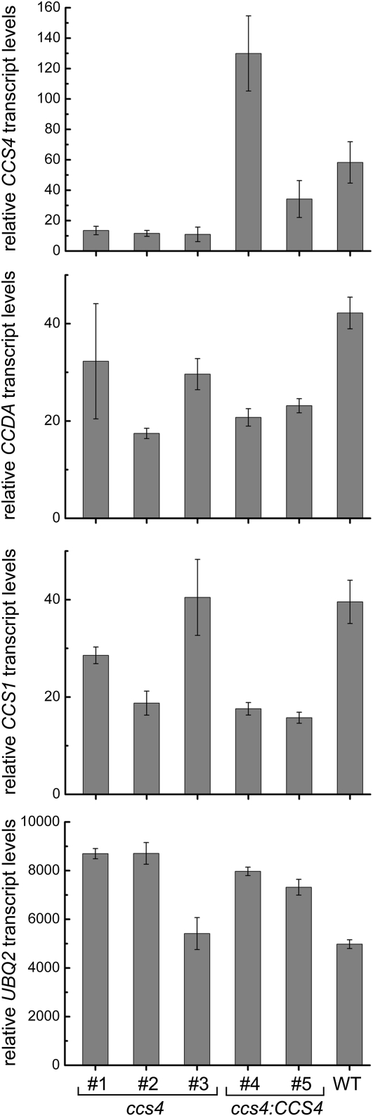 Figure 3.—