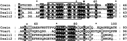 Figure 4.—