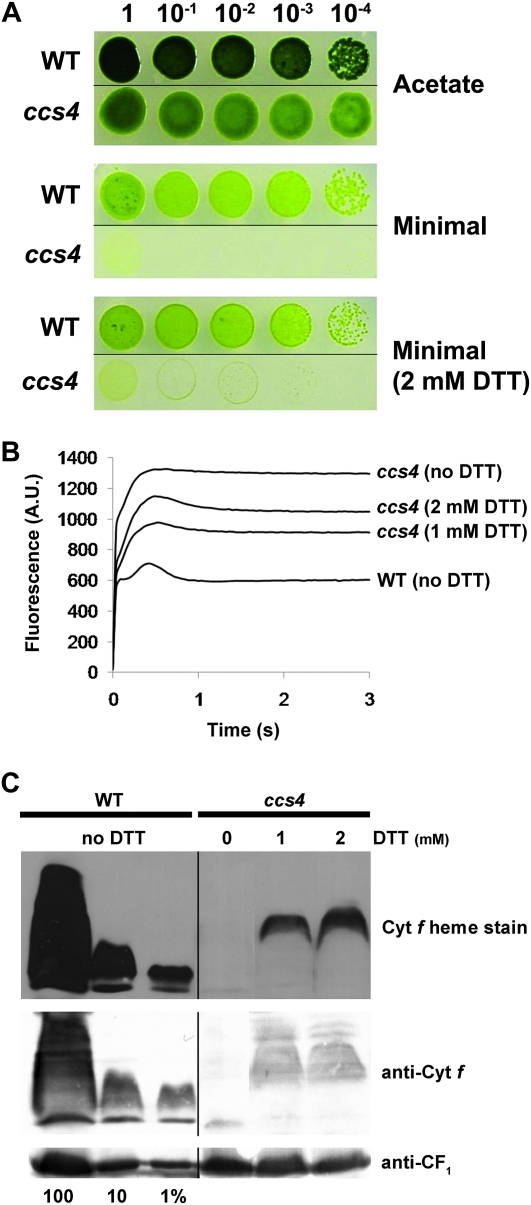 Figure 1.—