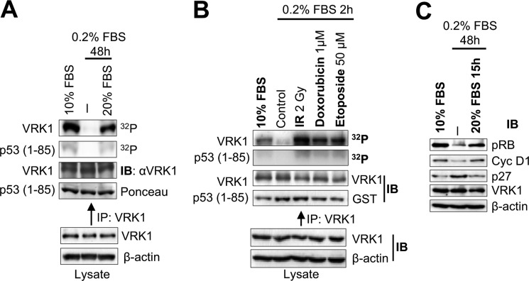 FIGURE 1.