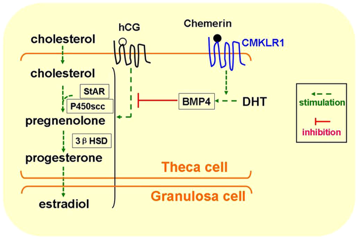 Figure 12