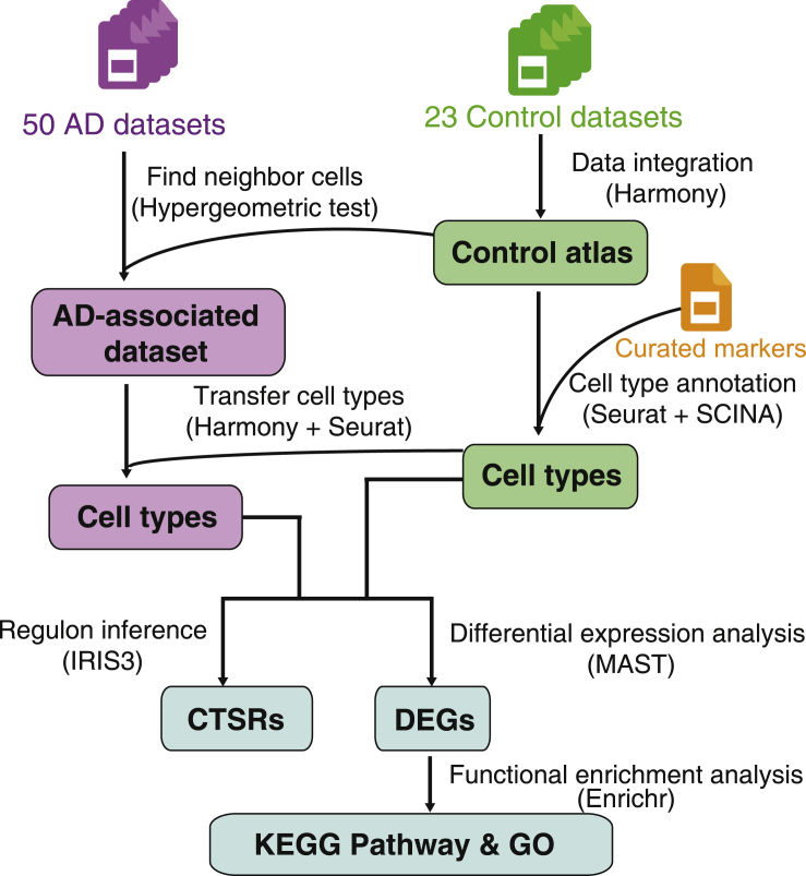 Figure 1