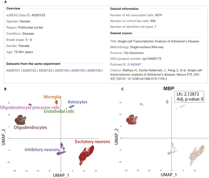 Figure 3