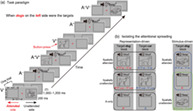 graphic file with name HBM-42-6038-g004.jpg